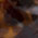OR0100-52V-00
